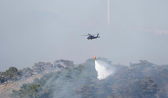 'Ciğerlerimiz yanıyor': Karabük'teki yangın kontrol altında